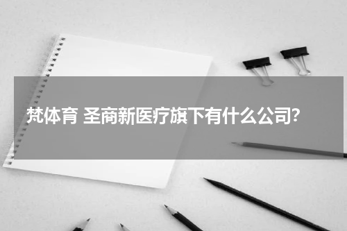 梵体育 圣商新医疗旗下有什么公司？