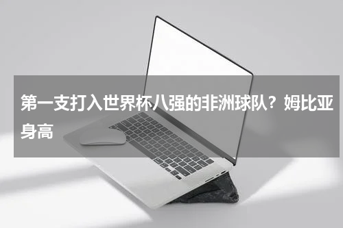 第一支打入世界杯八强的非洲球队？姆比亚身高