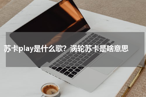 苏卡play是什么歌？涡轮苏卡是啥意思
