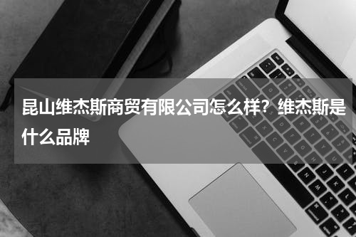 昆山维杰斯商贸有限公司怎么样？维杰斯是什么品牌