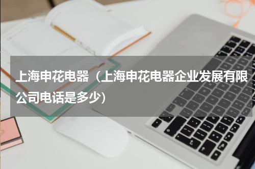 上海申花电器（上海申花电器企业发展有限公司电话是多少）