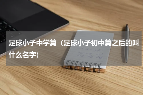 足球小子中学篇（足球小子初中篇之后的叫什么名字）