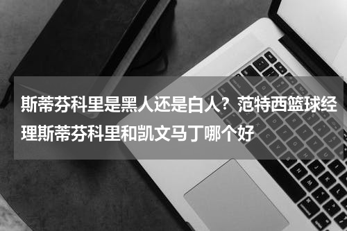 斯蒂芬科里是黑人还是白人？范特西篮球经理斯蒂芬科里和凯文马丁哪个好