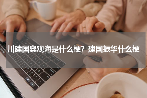 川建国奥观海是什么梗？建国振华什么梗