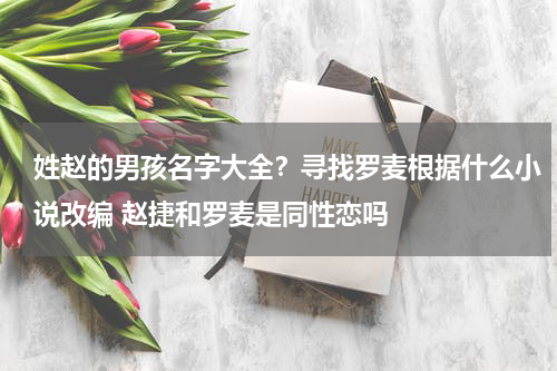 姓赵的男孩名字大全？寻找罗麦根据什么小说改编 赵捷和罗麦是同性恋吗