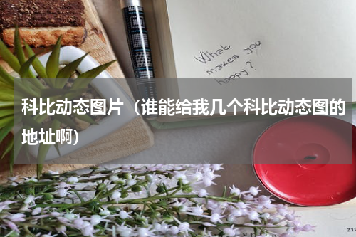科比动态图片（谁能给我几个科比动态图的地址啊）
