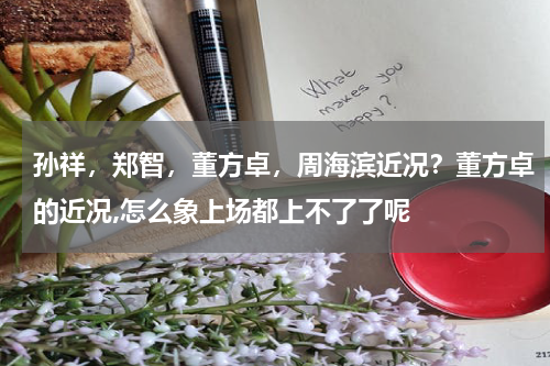 孙祥，郑智，董方卓，周海滨近况？董方卓的近况,怎么象上场都上不了了呢
