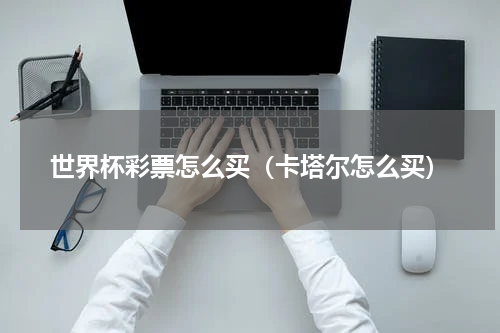 世界杯彩票怎么买（卡塔尔怎么买）