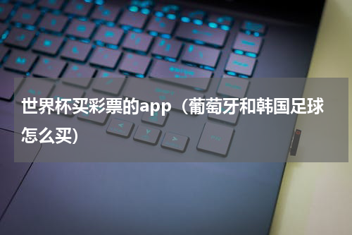世界杯买彩票的app（葡萄牙和韩国足球怎么买）