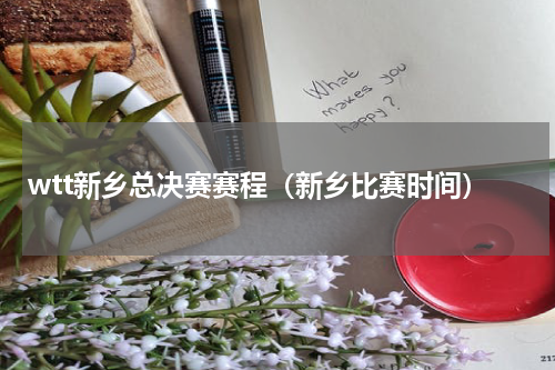 wtt新乡总决赛赛程（新乡比赛时间）