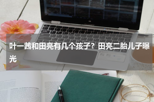 叶一茜和田亮有几个孩子？田亮二胎儿子曝光