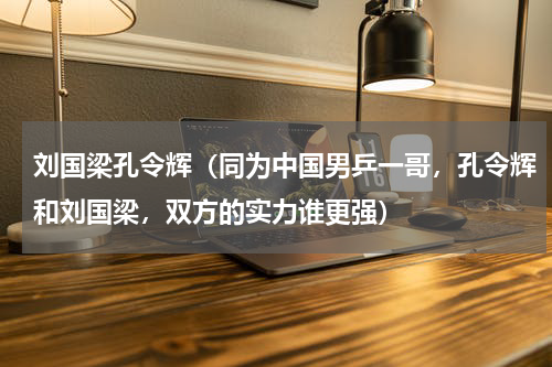 刘国梁孔令辉（同为中国男乒一哥，孔令辉和刘国梁，双方的实力谁更强）