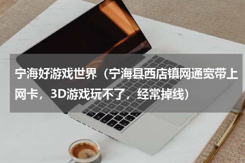 宁海好游戏世界（宁海县西店镇网通宽带上网卡，3D游戏玩不了，经常掉线）