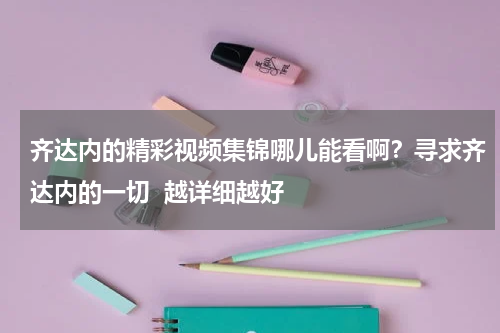 齐达内的精彩视频集锦哪儿能看啊？寻求齐达内的一切  越详细越好